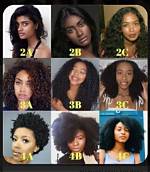 Unveiling the Spectrum of Black Hair: Discoveries and Insights