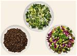 Unveiling the Splendor of Cava Splendid Greens: Discoveries and Insights