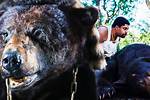 Unveiling the Truth: Cocaine Bear Gross