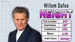 Unveiling William Dafoe's Towering Height and Its Impact