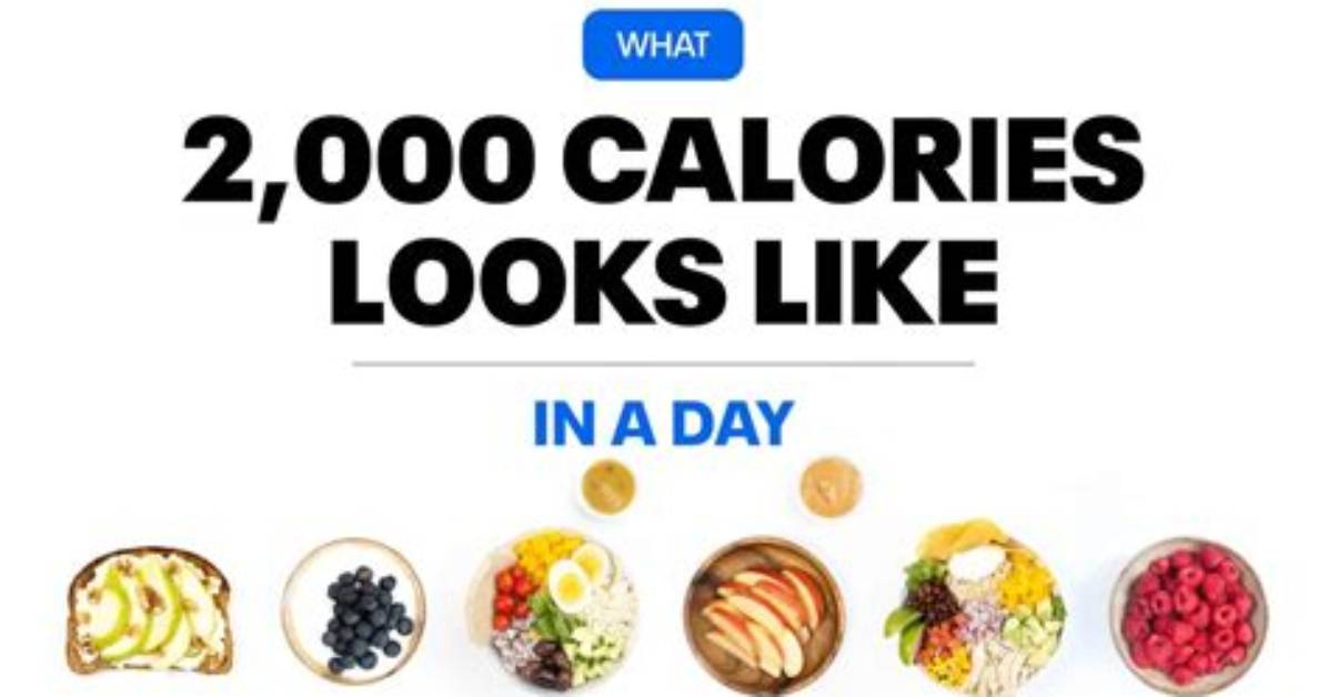 What 1,000 Calories Looks Like in Different Foods