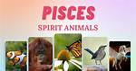 What Are the Pisces Spirit Animals? the 4 Guides Explained ·