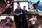 What Happened to Destination Crab Boat? Crew List Here Wed 23 June 2021 10:21 ·