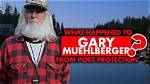 What Happened to Gary Muehlberger on Port Protection?