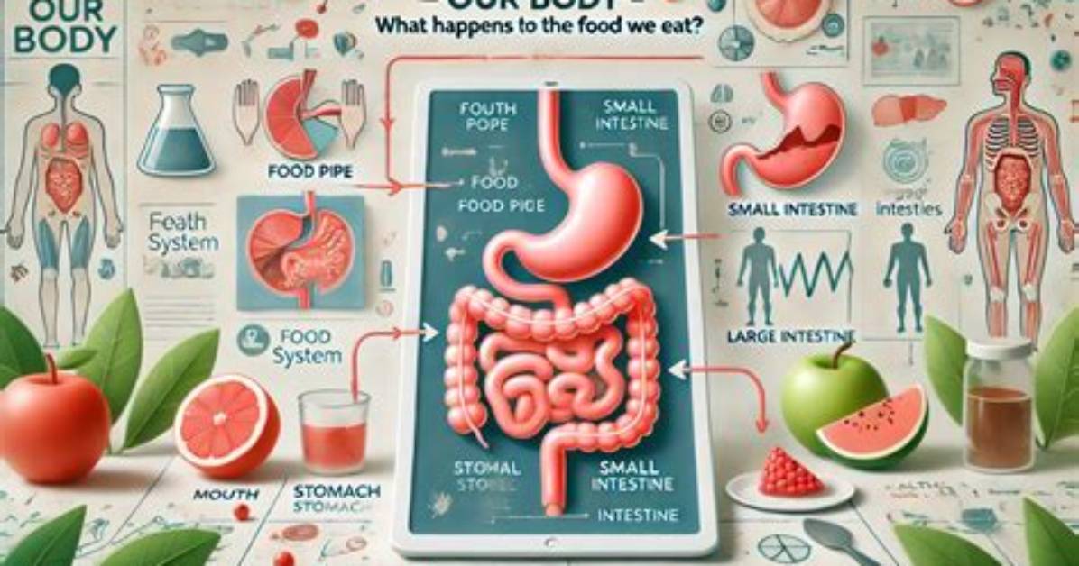 What Happens to the Food"