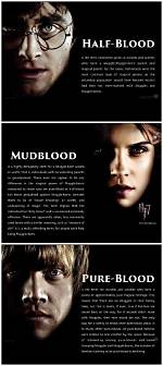 What Is Mudblood in Harry Potter? Celebrity. Fm #1 Official Stars, Business & People Network,