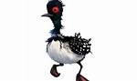 What Is the Bird in Finding Dory? Celebrity ·