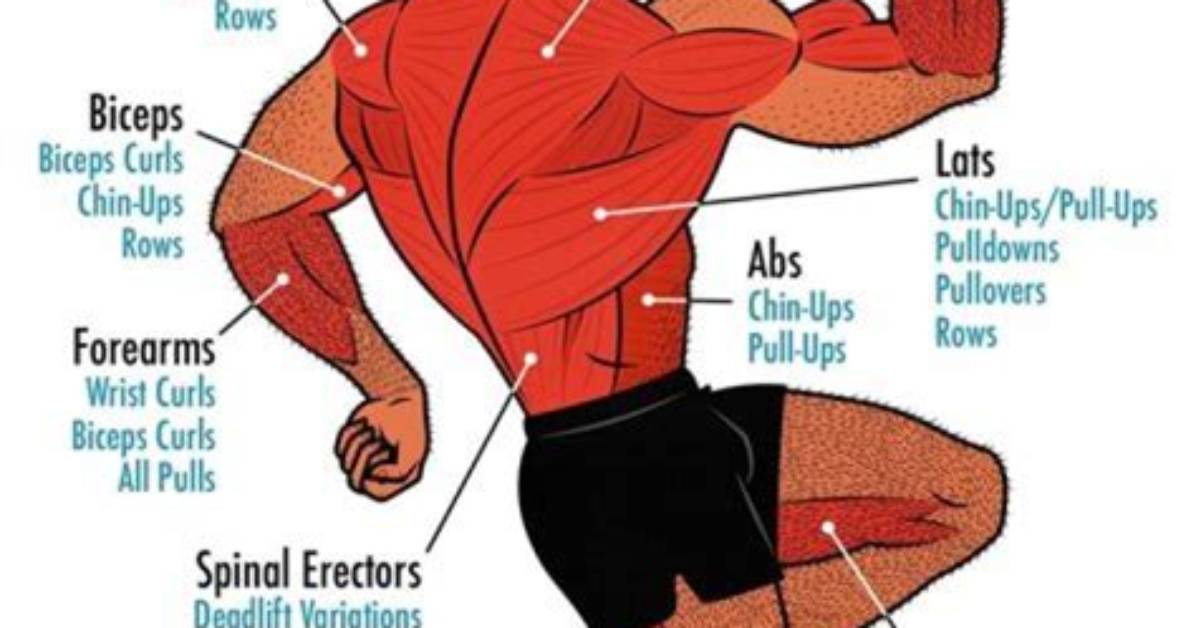When Muscles Fail: the Unexpected Truth Behind "Sorry About Your Boyfriend, All Those Muscles Didn't Help Much"