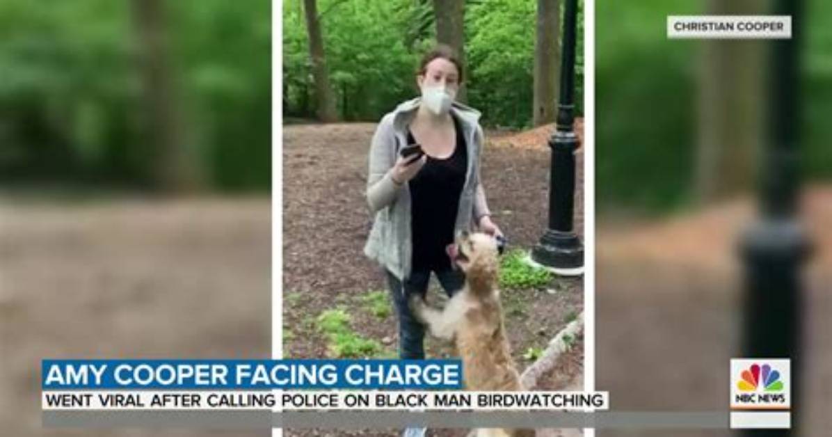 Where Is Amy Cooper Now? Everything on Central Park Karen Christian Cooper Feud