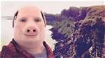 Who Is John Pork? Everything About the Calling Tiktok Meme