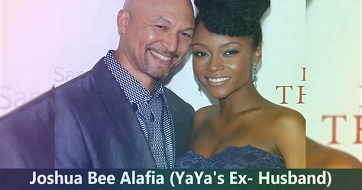 Who Is Joshua Bee Alafia? Details About the Husband of Our Kind of People Actress Yaya Dacosta