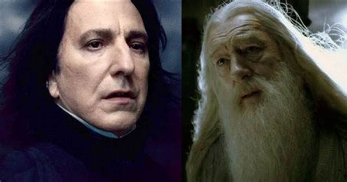 Who Killed Ariana Dumbledore? Celebrity. Fm #1 Official Stars, Business & People Network, Wik
