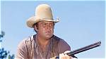 Who Was Dan Blocker and What Has Become of His Wife and 2 Sons Since His Death? ·