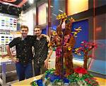 Who Won Lego Masters Season 2? Meet the Winners on Instagram