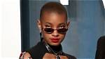 Willow Smith Rocks Red Bikini in New Video Hollywood Life
