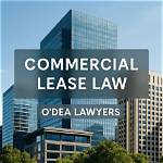 Wisdom from Commercial Lease Lawyers at Qbpl