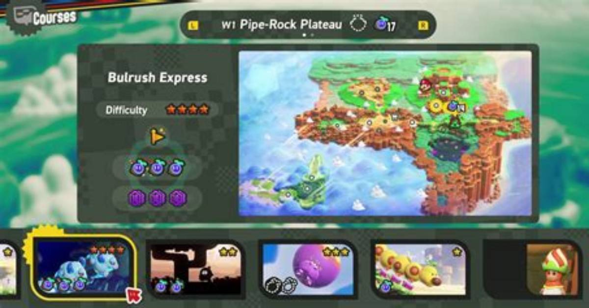 World 1 - Bulrush Express All Wonder Seeds, Flower Coins, and Secret Exits