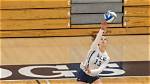 Yale Volleyballs 17-gameUnstoppable Streak Secures Ivy League Conference Titleand Ncaa Spot