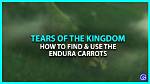 Your Ultimate Guide to Finding Endura Carrots